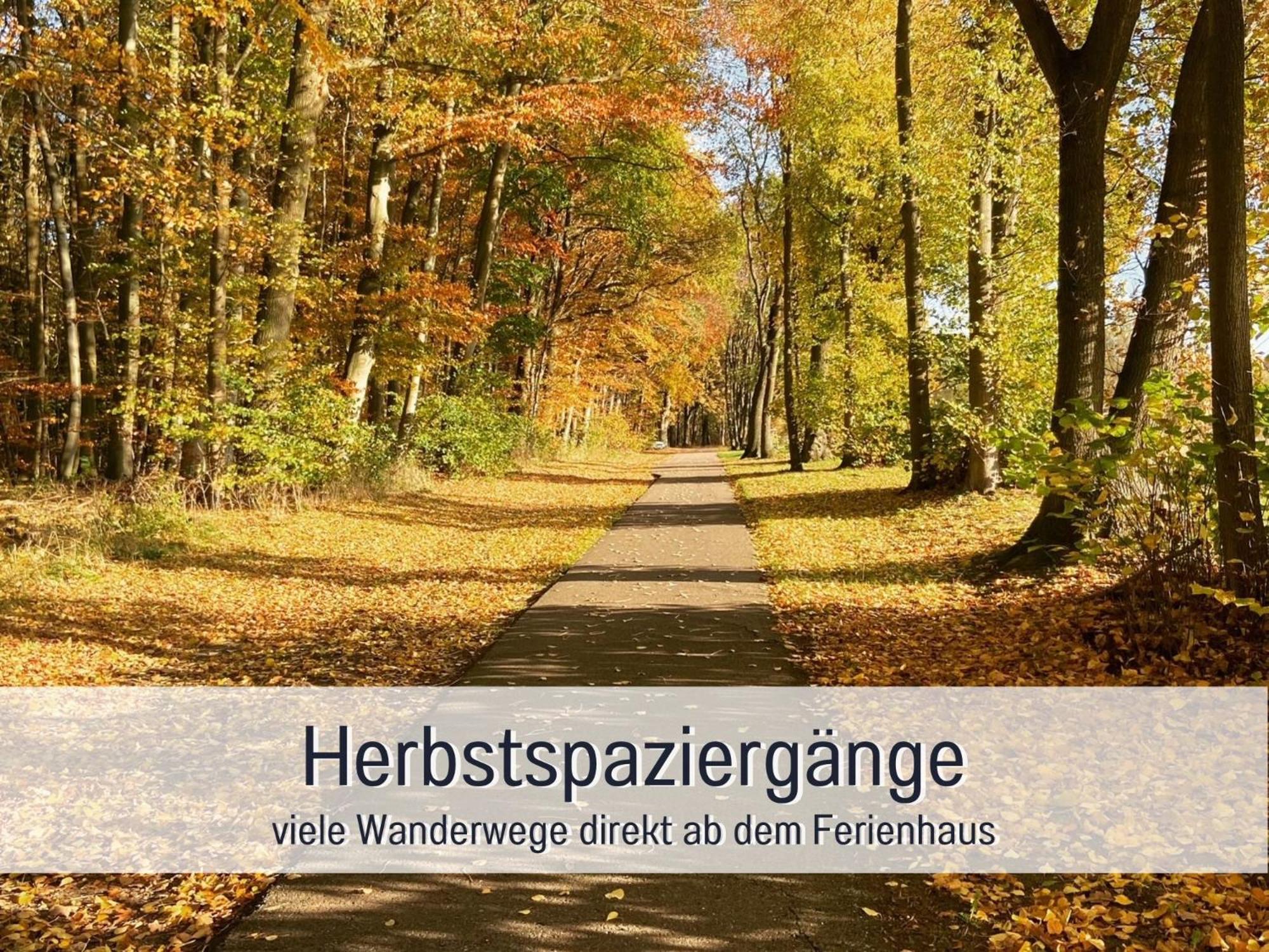 Strandhaus Mathea - Ruhige Lage Direkt Am Fleesensee - Parkplatz, Kamin, Sauna - Familienfreundlich Unter Göhren Eksteriør bilde